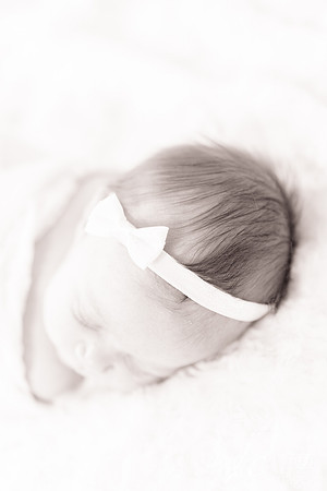 jc imagery professional family photography 37