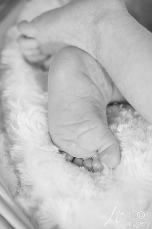 jc imagery professional newborn photography 16