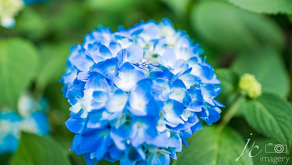 jc imagery featured professional photography 24